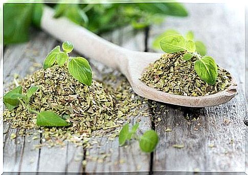 oregano