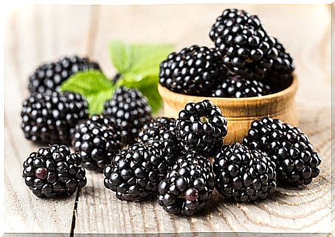 7 Amazing Benefits Of Eating Blackberries