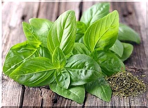 A pile of basil as an example of natural remedies for nervousness