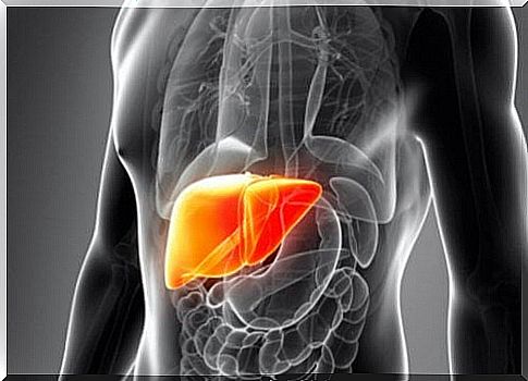 7 Important Reasons to Detox Your Liver