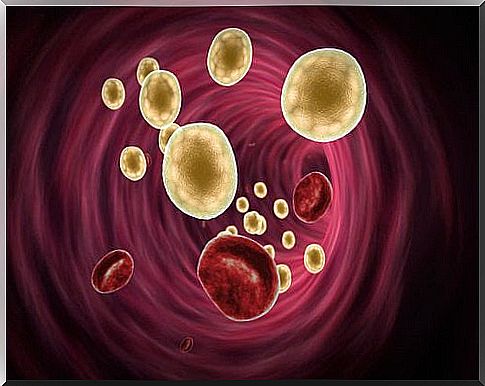 2-cholesterol