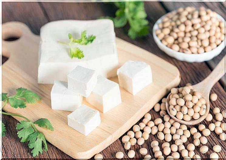 Tofu, which is an alternative to animal protein