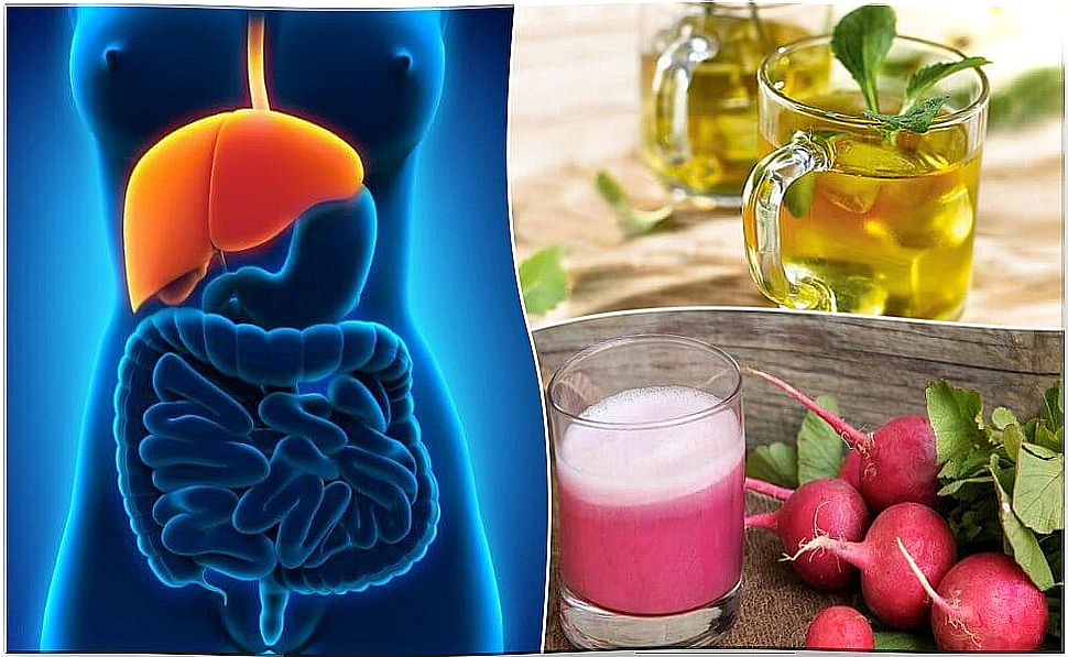 Discover how to treat fatty liver naturally