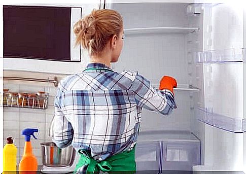 Environmentally friendly methods of disinfecting the refrigerator