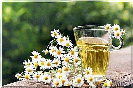 Chamomile tea