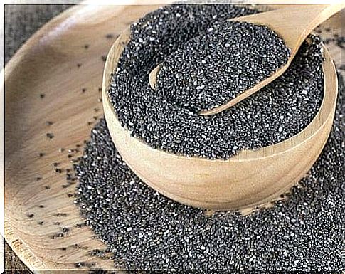 whole chia seeds