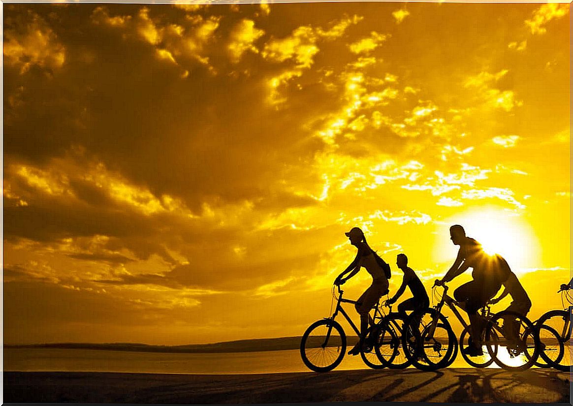 Family bikes together at sunset