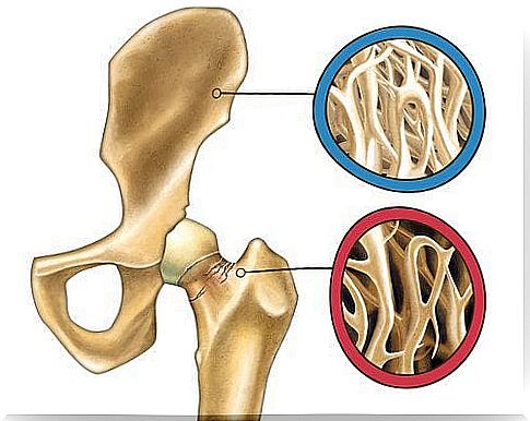 Bone and bone mass