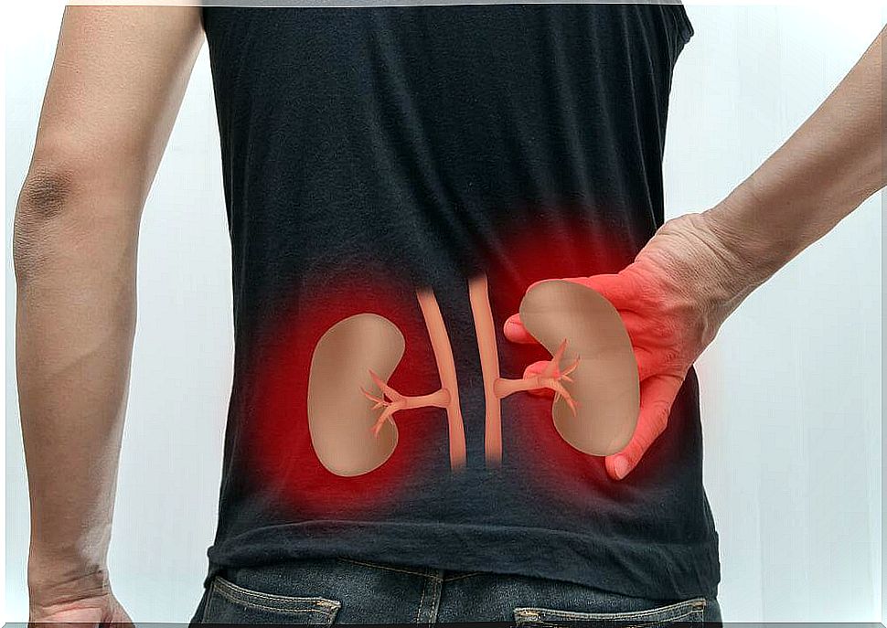 Incredible natural remedies that help cleanse your kidneys