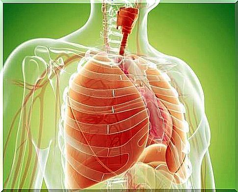 Natural remedies to detoxify your lungs