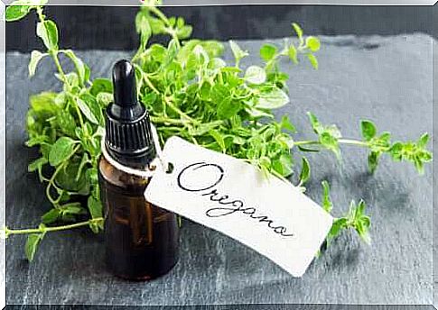 Recipe for homemade oregano oil and its benefits