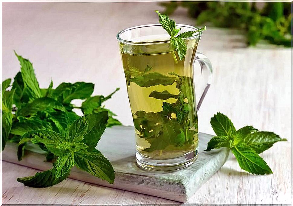 Use peppermint and mint to treat dizziness