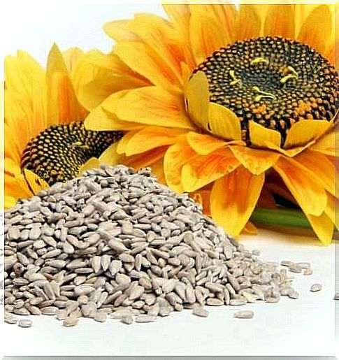 Sunflower seeds can relieve withdrawal