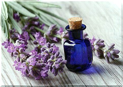 Lavender oil can be used for a lot