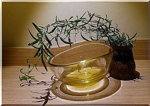 Among the many essential oils we also find tea-tree