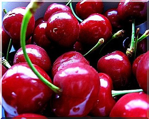 cherry