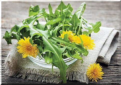 Dandelion to help lower blood pressure